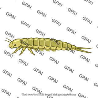 Aquatic insect larva