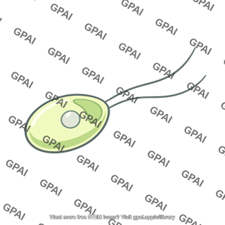 Zoospore two flagella