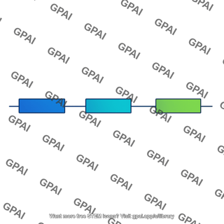 Beta globin gene
