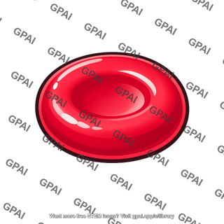 Red blood cell