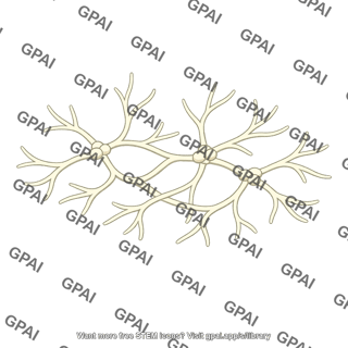 Fungal hyphae