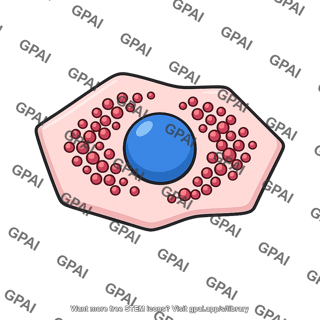 Pancreatic cell insulin producing