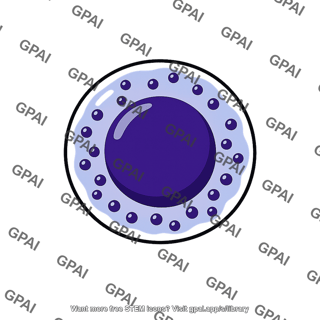 Natural killer cell