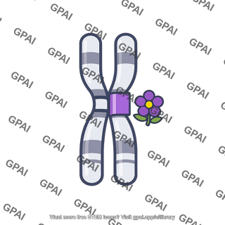Allele purple flower