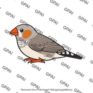 Zebra finch male non ornamented