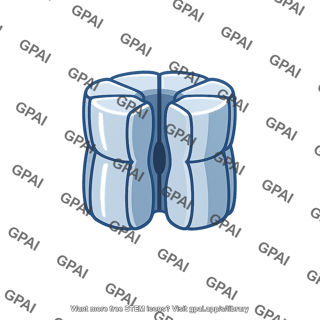 Membrane pore