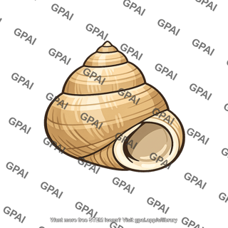 Snail shell
