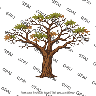 Tropical dry forest tree