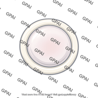 Round window