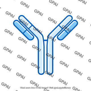 Antibody