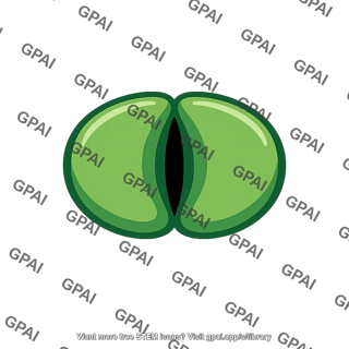 Leaf stoma