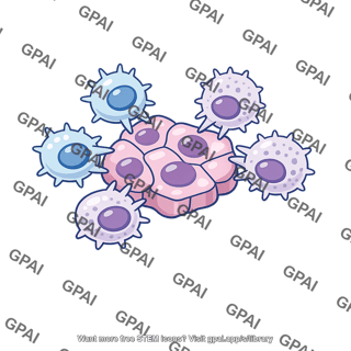 Immune rejection