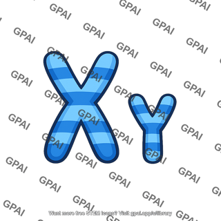 Chromosome pair xy