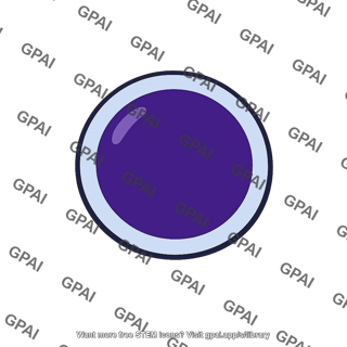 Lymphocyte