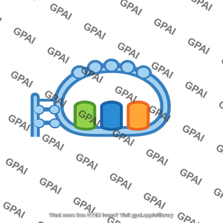 Anticodon loop