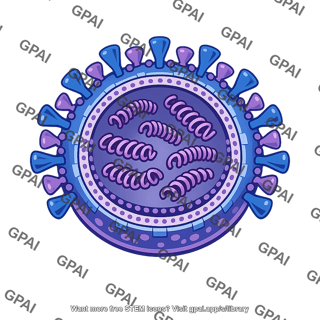 Influenza virus