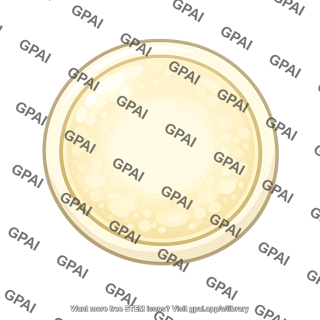 Egg cell enucleated