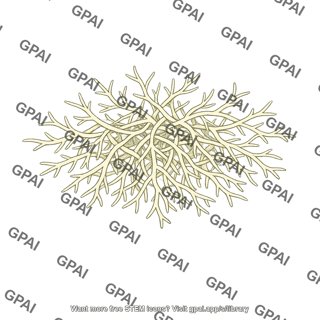 Soil fungus mycelium