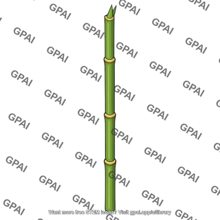 Bamboo stalk