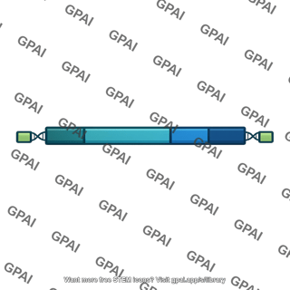 Line 1 retrotransposon