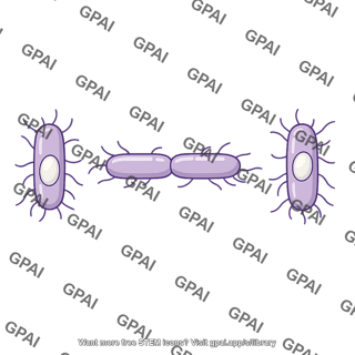 Clostridium difficile