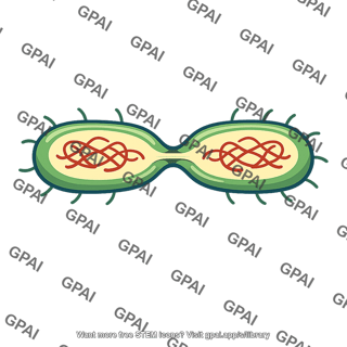 Binary fission bacterium