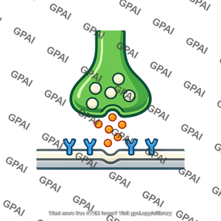Excitatory synapse e1