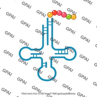 Trna polypeptide bound
