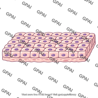 Animal tissue