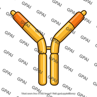 Ige antibody