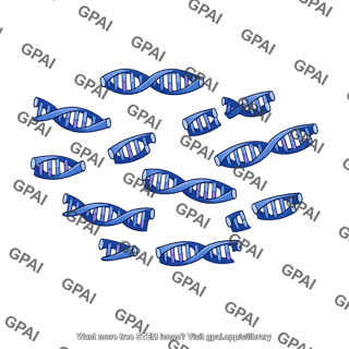 Dna randomly cut