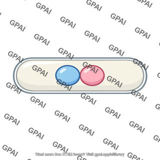 Dikaryotic cell