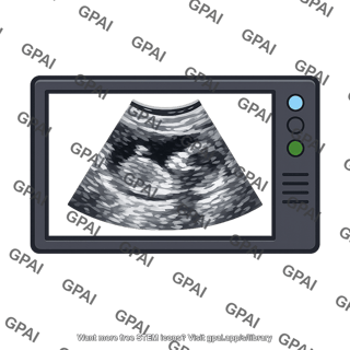 Ultrasound monitor