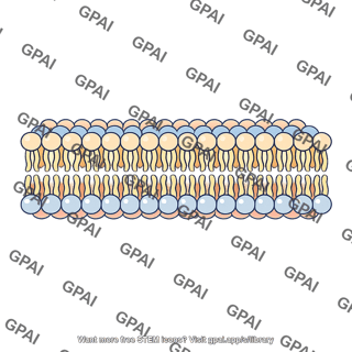 Biological membrane