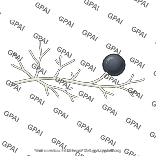 Zoopagomycete dark sporangium