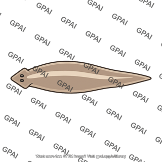 Planaria adult worm