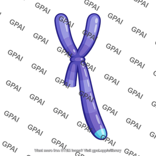 Y chromosome