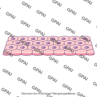 Tissue layer
