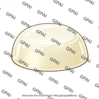 Agar