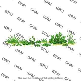 Forest undergrowth low