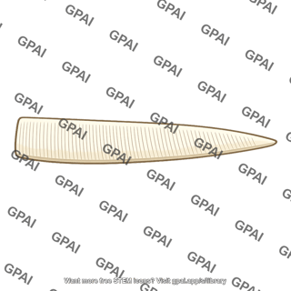 Mushroom gill
