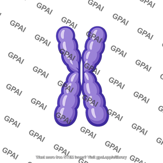 Eukaryotic chromosome prophase