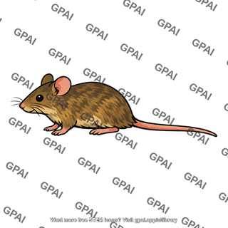 Mouse brownish agouti