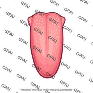 Human tongue