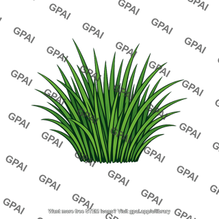 Turfgrass