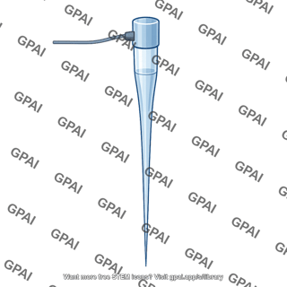 Intracellular recording electrode