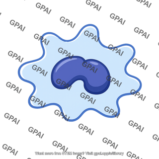 Innate immune cell