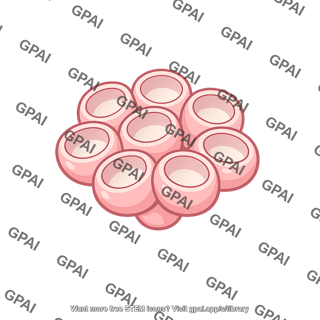 Epithelial sac