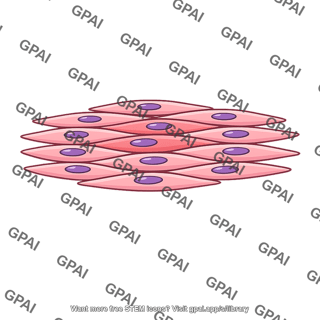 Smooth muscle tissue