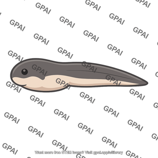 Frog embryo tadpole stage